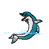 dolphin_laughing